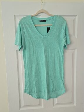 NWT Michelle Mint Green V-Neck Short Sleeve Tunic Tee